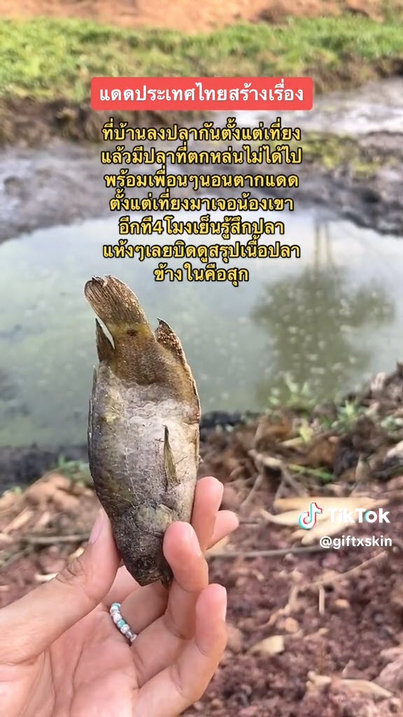 อากาศร้อน อากาศร้อน