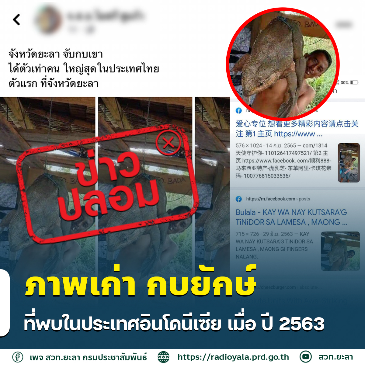 กบยักษ์ตัวเท่าคน กบยักษ์ตัวเท่าคน