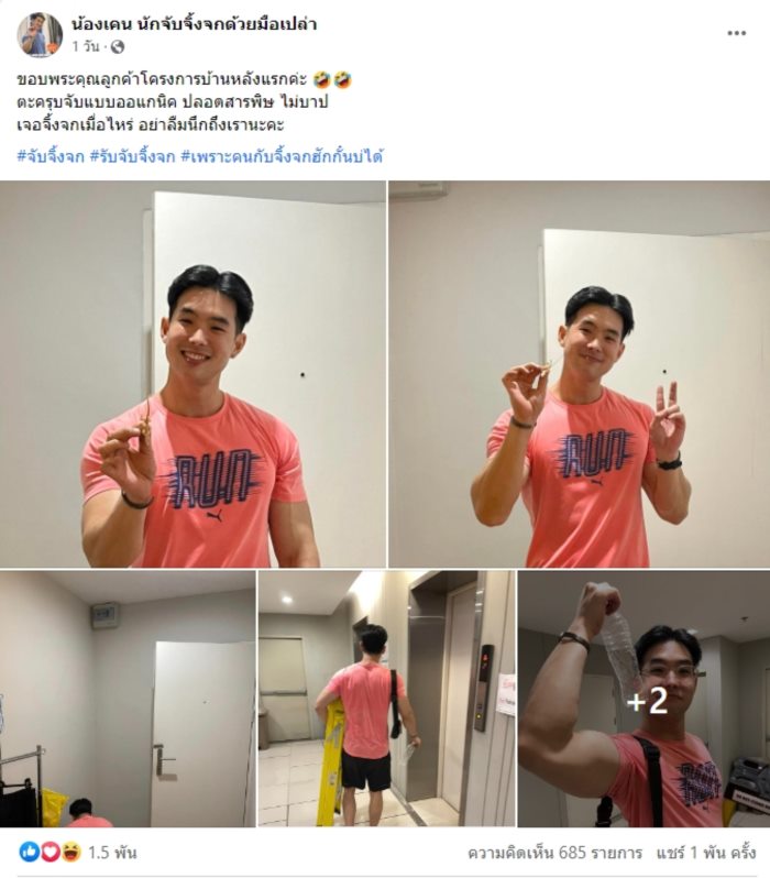 เห็นแล้วอยากเปิดฟาร์มจิ้งจกที่บ้าน เห็นแล้วอยากเปิดฟาร์มจิ้งจกที่บ้าน