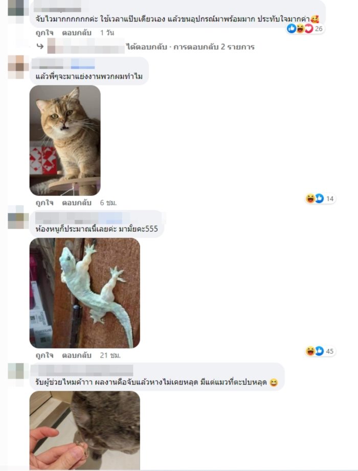 เห็นแล้วอยากเปิดฟาร์มจิ้งจกที่บ้าน เห็นแล้วอยากเปิดฟาร์มจิ้งจกที่บ้าน