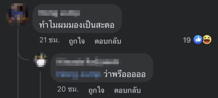 สาหร่ายวากาเมะ สาหร่ายวากาเมะ