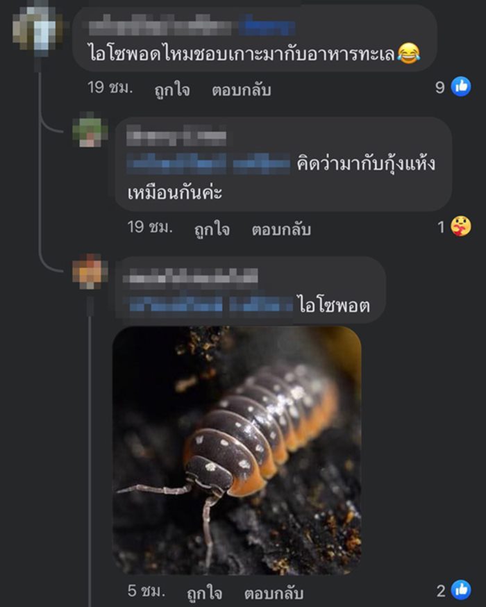 สิ่งแปลกปลอมในอาหาร สิ่งแปลกปลอมในอาหาร