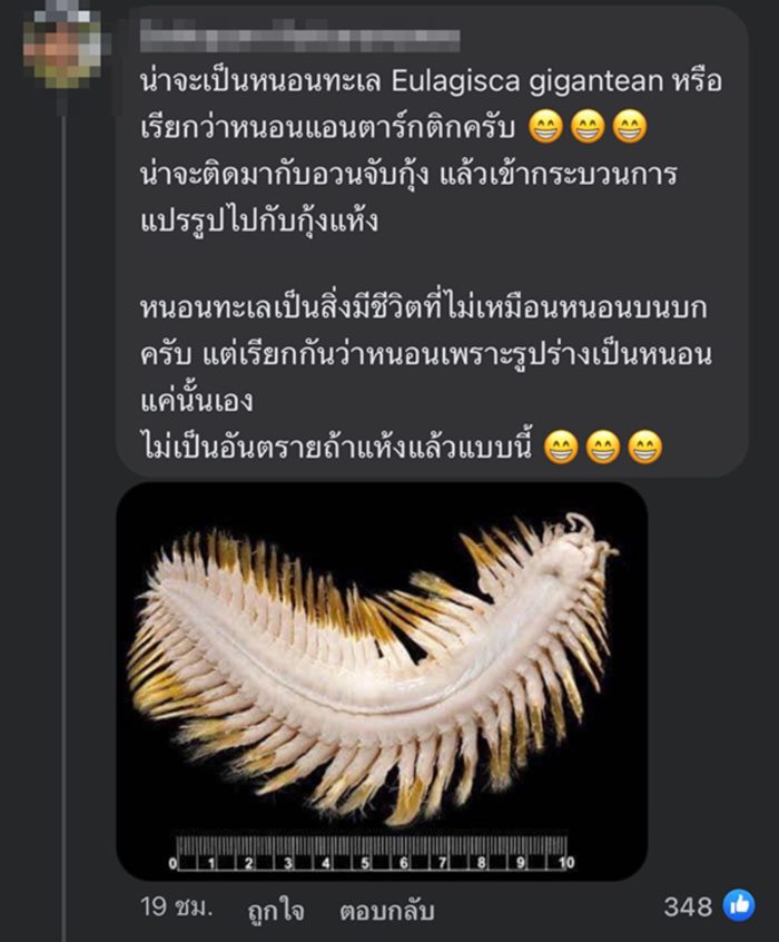 สิ่งแปลกปลอมในอาหาร สิ่งแปลกปลอมในอาหาร