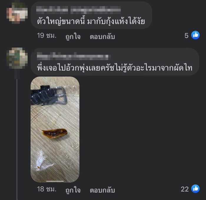 สิ่งแปลกปลอมในอาหาร สิ่งแปลกปลอมในอาหาร