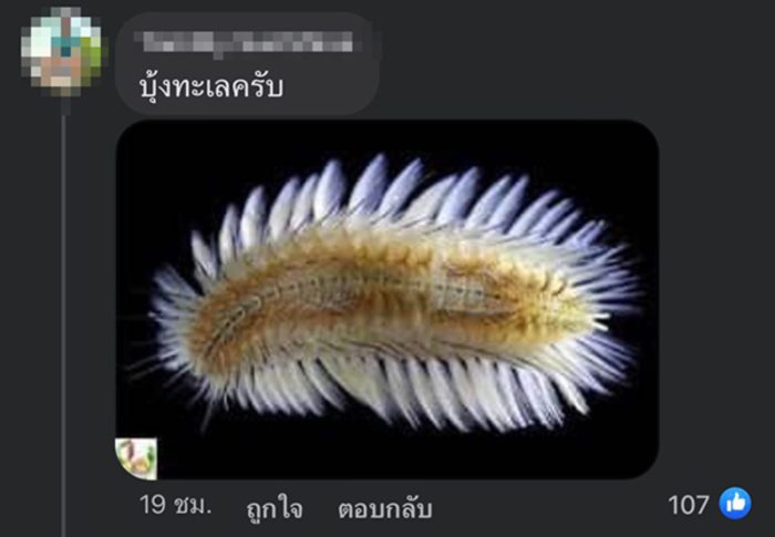 สิ่งแปลกปลอมในอาหาร สิ่งแปลกปลอมในอาหาร