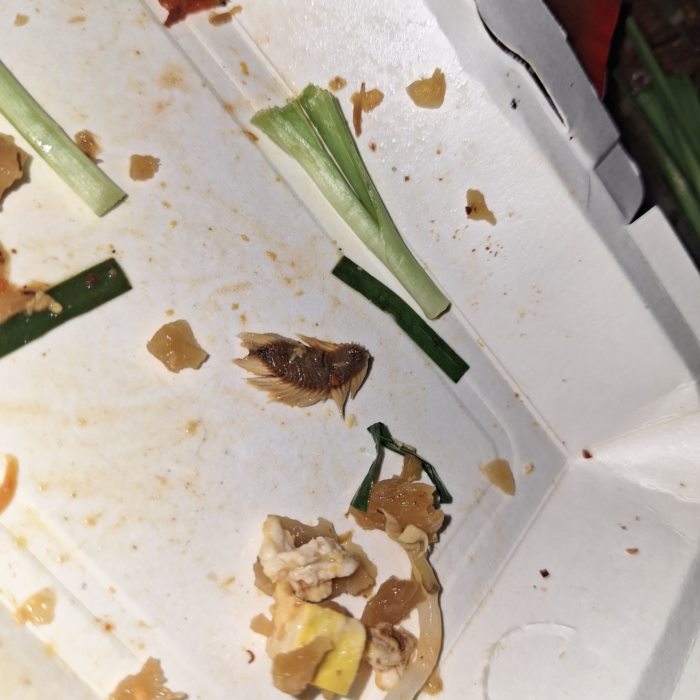 สิ่งแปลกปลอมในอาหาร สิ่งแปลกปลอมในอาหาร