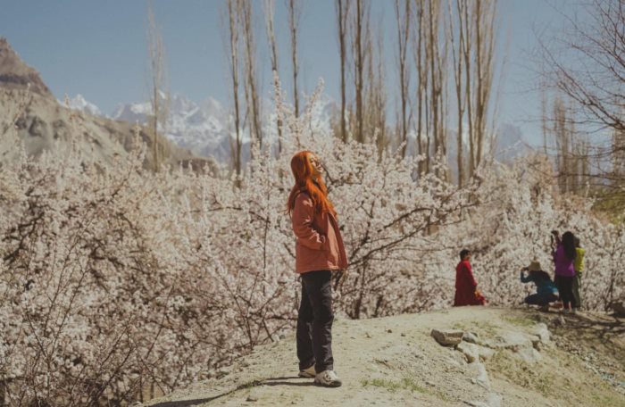 ดราม่าปากีไม่ตรงปก ดราม่าปากีไม่ตรงปก