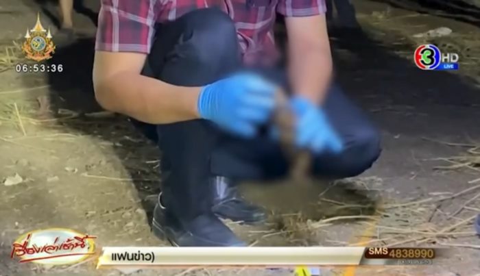 ฆ่าหั่นศพญี่ปุ่น ฆ่าหั่นศพญี่ปุ่น