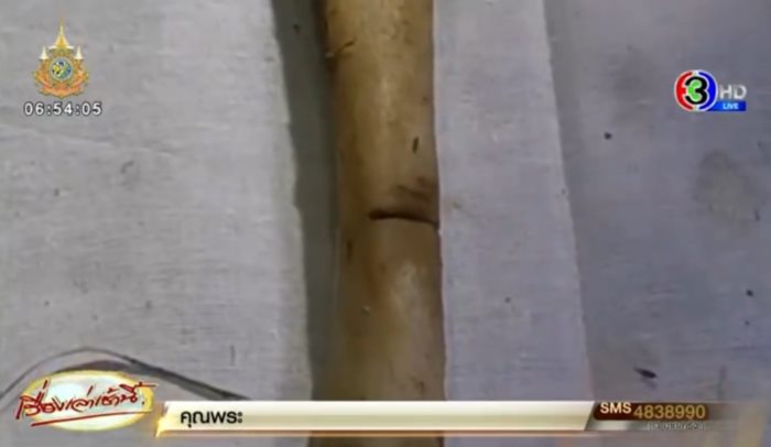 ฆ่าหั่นศพญี่ปุ่น ฆ่าหั่นศพญี่ปุ่น