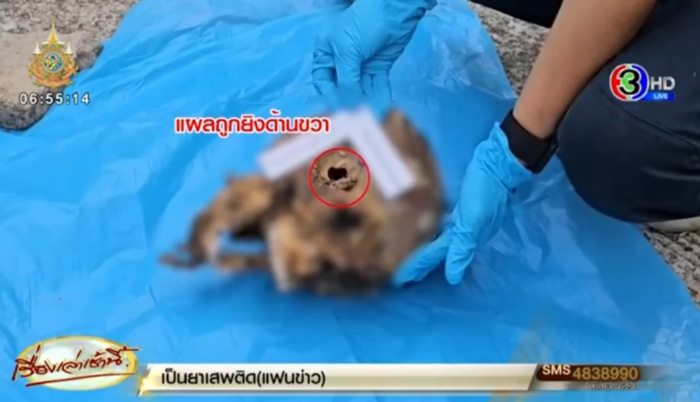 ฆ่าหั่นศพญี่ปุ่น ฆ่าหั่นศพญี่ปุ่น