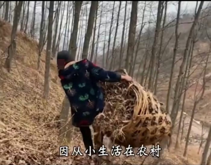 อินฟลูเอนเซอร์จีน อินฟลูเอนเซอร์จีน