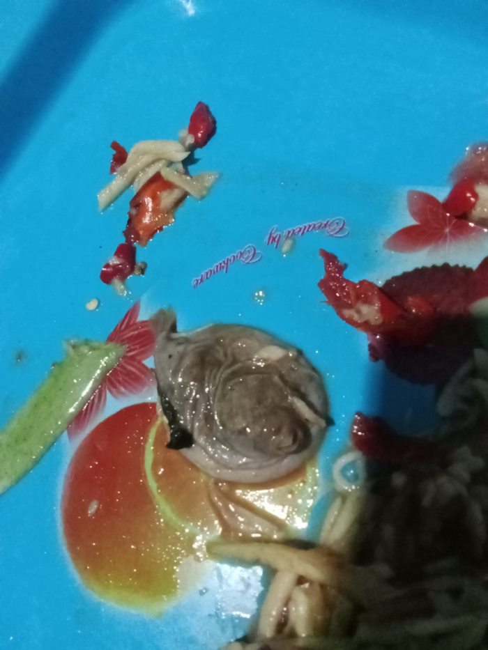 ส้มตำปลาร้า ส้มตำปลาร้า