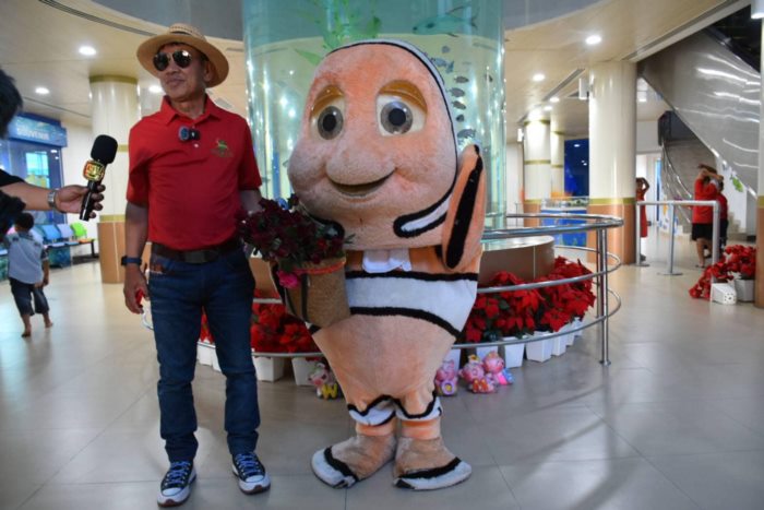 นีโม่ นีโม่