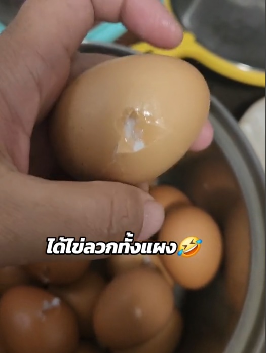 ร้อนจนเป็นไข่ลวก ร้อนจนเป็นไข่ลวก