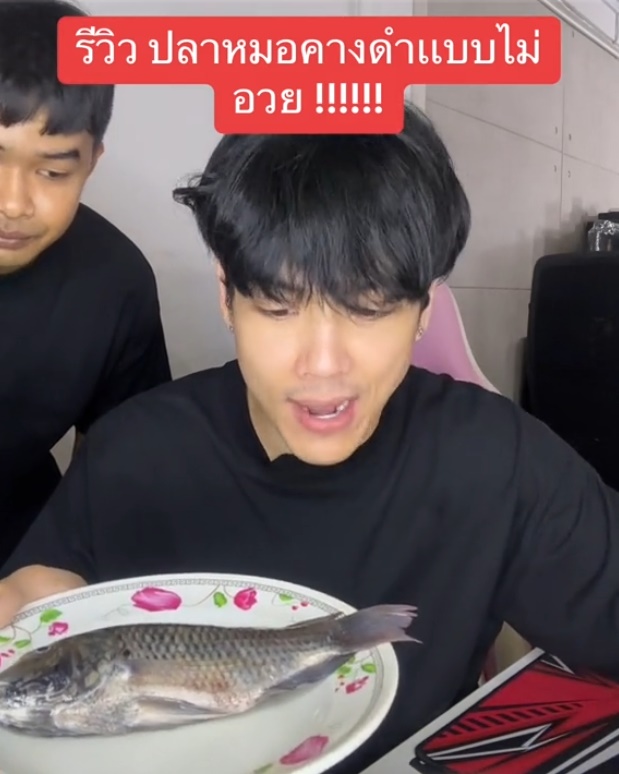 ปลาหมอคางดำ ปลาหมอคางดำ