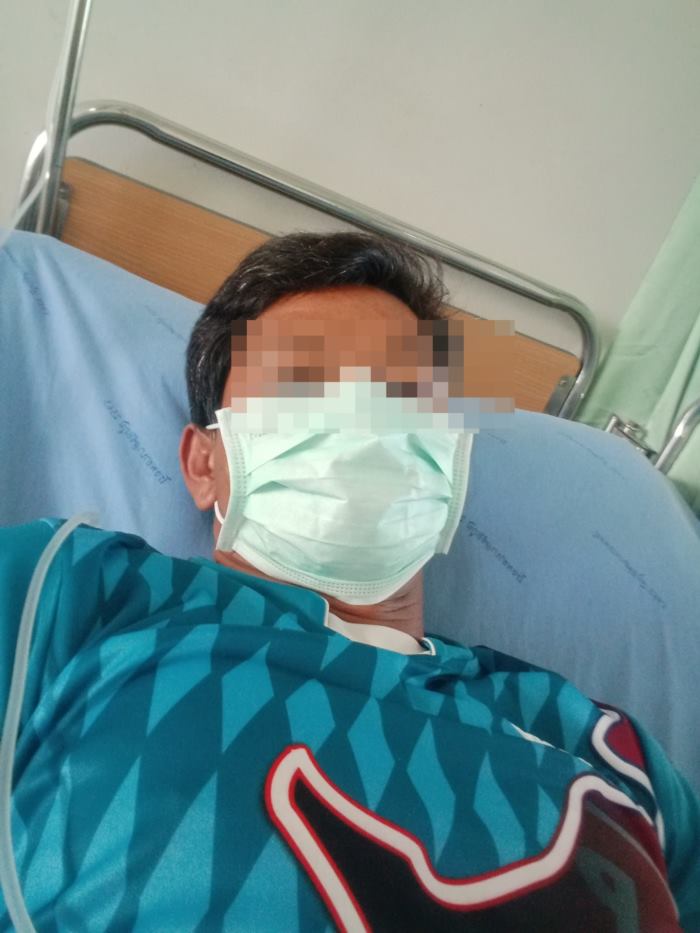 งูพิษ งูพิษ