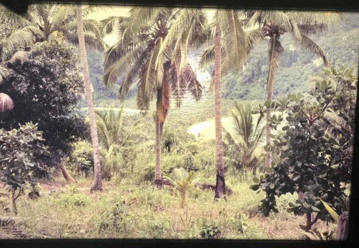 เกาะในไทย เกาะในไทย