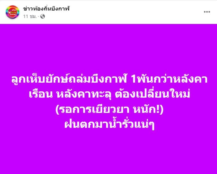 ลูกเห็บถล่มบึงกาฬ ลูกเห็บถล่มบึงกาฬ