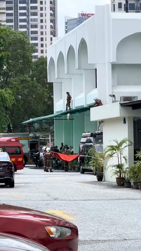 ช่วยแมว ช่วยแมว