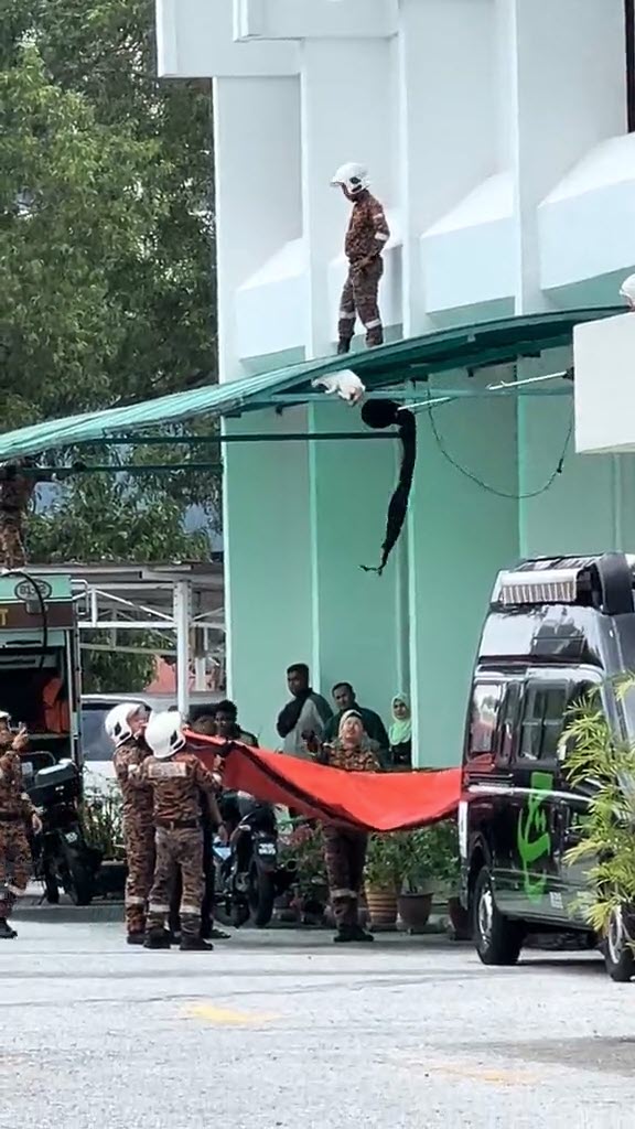 ช่วยแมว ช่วยแมว