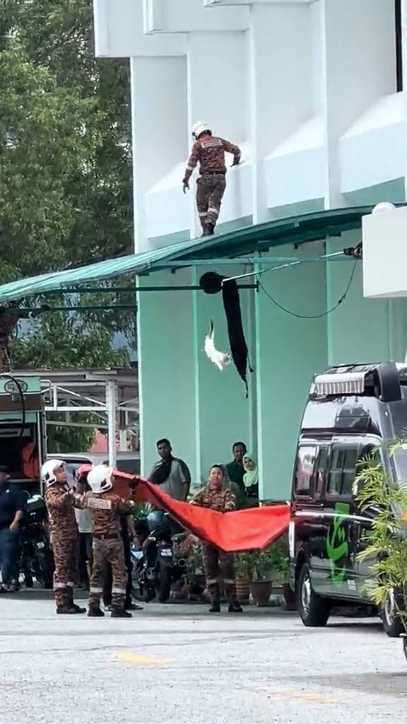 ช่วยแมว ช่วยแมว