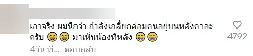 ช่วยแมว ช่วยแมว