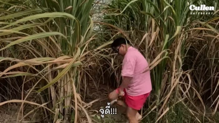 จูดี้ จูดี้