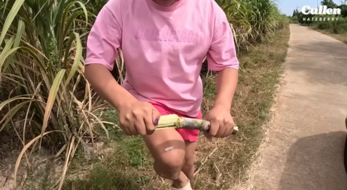 จูดี้ จูดี้