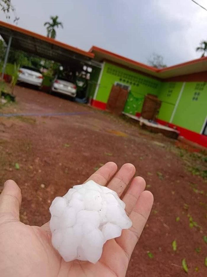 ลูกเห็บถล่มบึงกาฬ ลูกเห็บถล่มบึงกาฬ