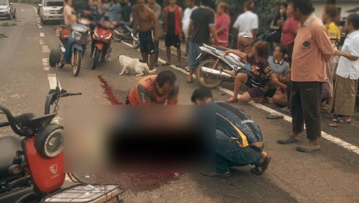 ฆ่าปาดคอ ฆ่าปาดคอ