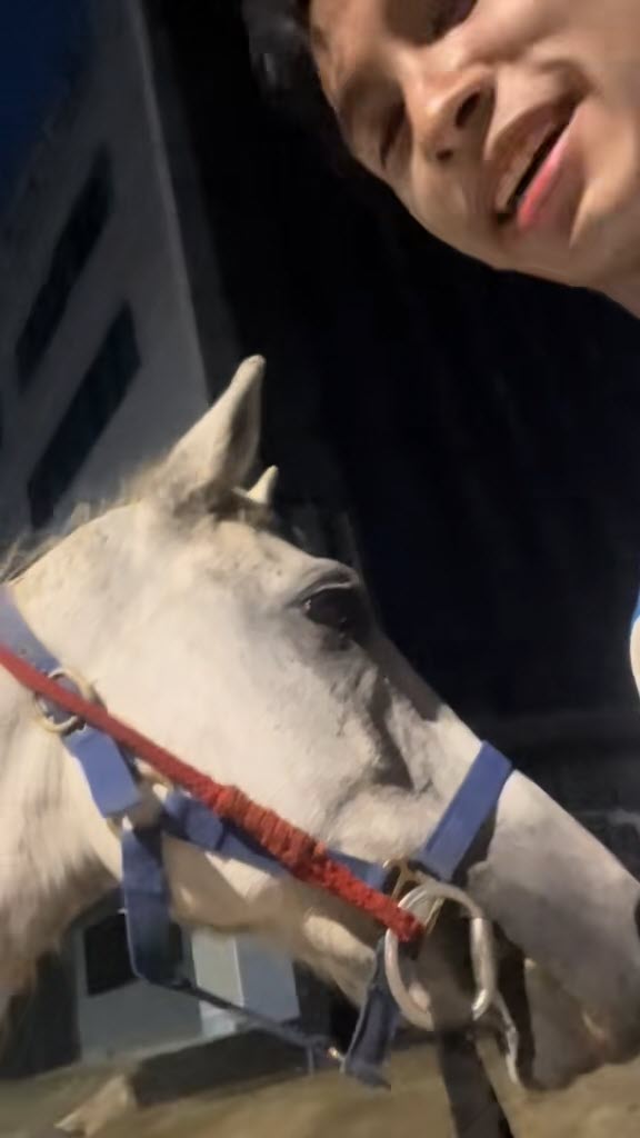 ขี่ม้าไปรับปริญญา ขี่ม้าไปรับปริญญา