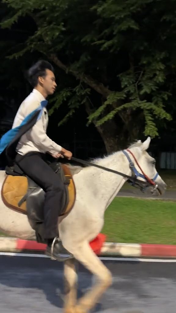 ขี่ม้าไปรับปริญญา ขี่ม้าไปรับปริญญา