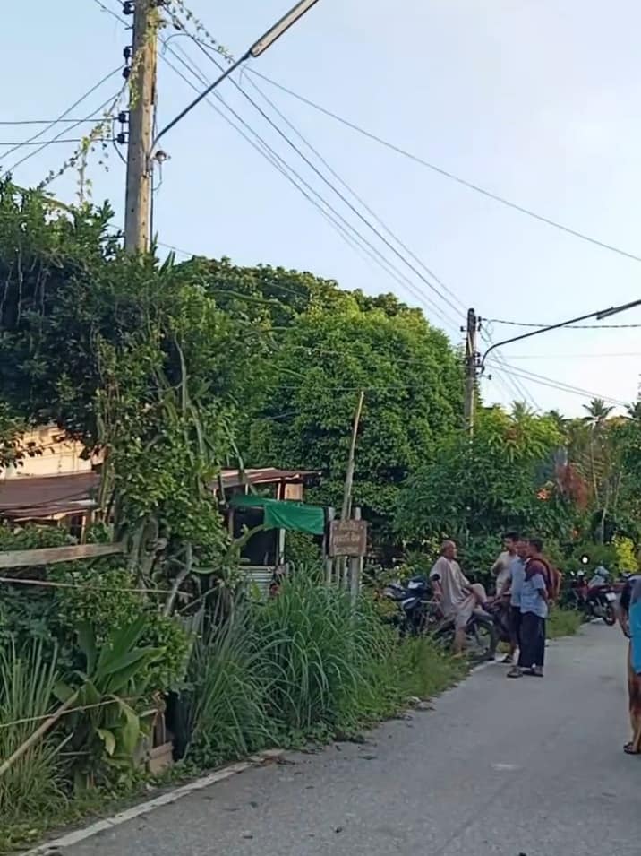 สายฝน รัตนภานุ สายฝน รัตนภานุ