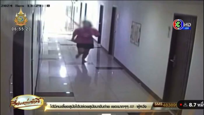 แทงแฟน แทงแฟน