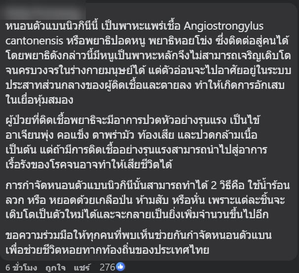 หนอนตัวแบนนิวกินี หนอนตัวแบนนิวกินี