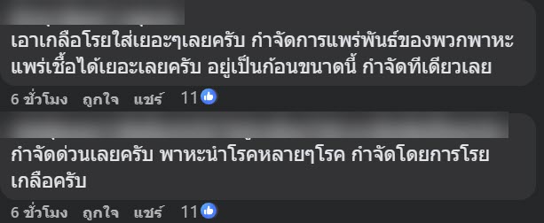 หนอนตัวแบนนิวกินี หนอนตัวแบนนิวกินี