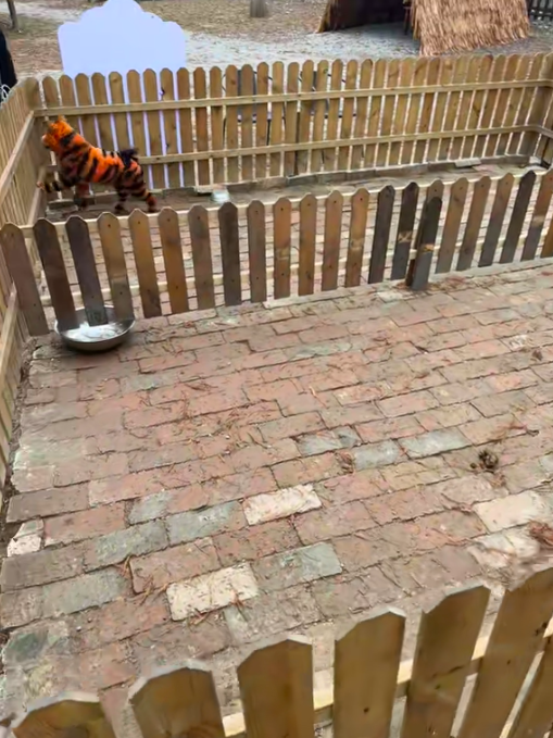 สวนสัตว์จีน สวนสัตว์จีน