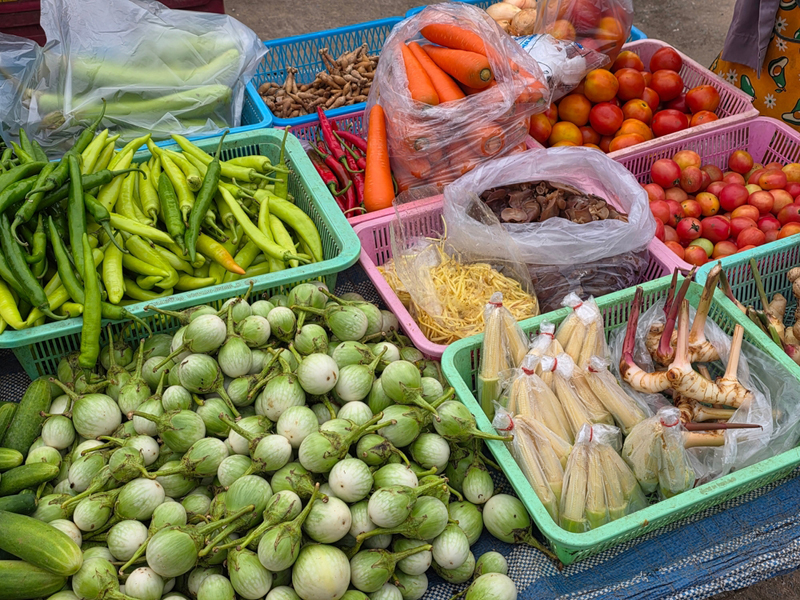 ผักที่เจอพยาธิ 100% ผักที่เจอพยาธิ 100%