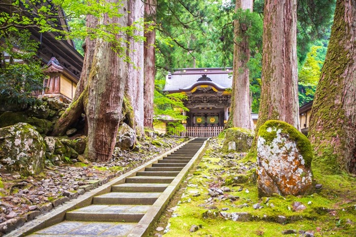 พระวัดดังญี่ปุ่น ลวนลามนักเรียนหญิง 20 คน พระวัดดังญี่ปุ่น ลวนลามนักเรียนหญิง 20 คน