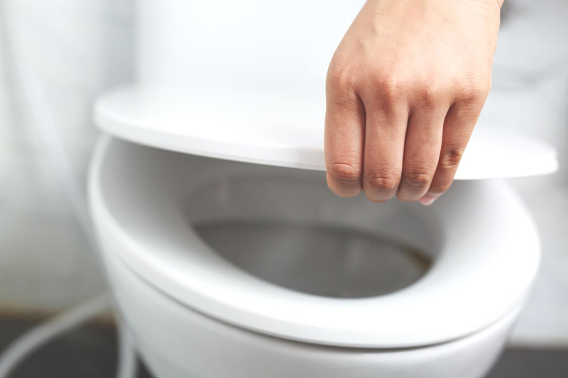 แมลงสาบในห้องน้ำ แมลงสาบในห้องน้ำ