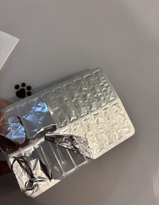 ประทัดระเบิดคาปาก ประทัดระเบิดคาปาก