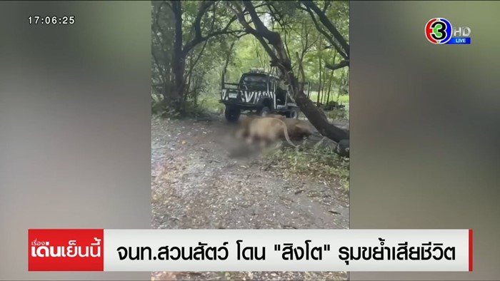 สิงโตทำร้ายเจ้าหน้าที่ สิงโตทำร้ายเจ้าหน้าที่