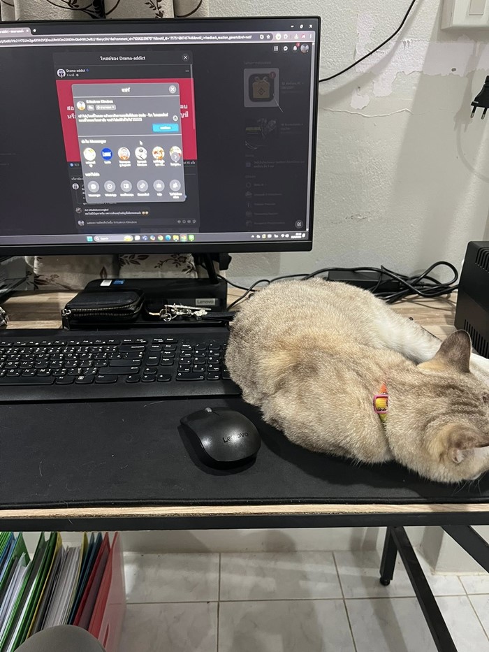 เฉลยแล้ว ใครป่วนเพจดัง เฉลยแล้ว ใครป่วนเพจดัง