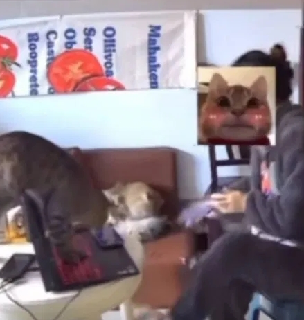 ใบลาออก ใบลาออก