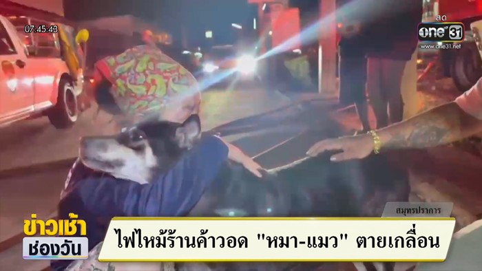 ไฟไหม้ร้านค้าตลาดเรือบิน เจ้าของร่ำไห้ หมา-แมวที่เก็บมาเลี้ยงนับสิบตัวตายคากองเพลิง ไฟไหม้ร้านค้าตลาดเรือบิน เจ้าของร่ำไห้ หมา-แมวที่เก็บมาเลี้ยงนับสิบตัวตายคากองเพลิง