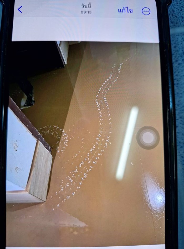 รอยพญานาค โผล่มาหลังน้ำท่วม รอยพญานาค โผล่มาหลังน้ำท่วม