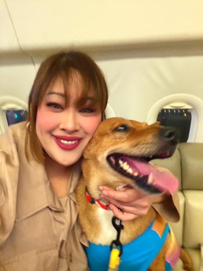 คุณหมูแดง หมาจรเซเว่น ล่าสุด องค์หริภาฯ พาขึ้นเครื่องเข้าวังเชียงใหม่ คุณหมูแดง หมาจรเซเว่น ล่าสุด องค์หริภาฯ พาขึ้นเครื่องเข้าวังเชียงใหม่