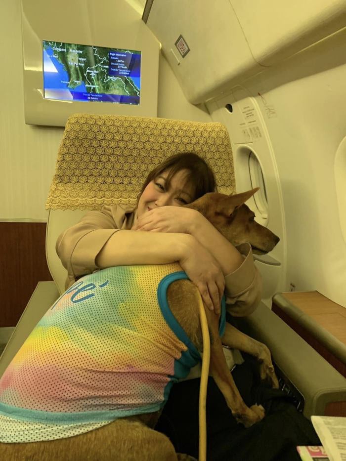 คุณหมูแดง หมาจรเซเว่น ล่าสุด องค์หริภาฯ พาขึ้นเครื่องเข้าวังเชียงใหม่ คุณหมูแดง หมาจรเซเว่น ล่าสุด องค์หริภาฯ พาขึ้นเครื่องเข้าวังเชียงใหม่