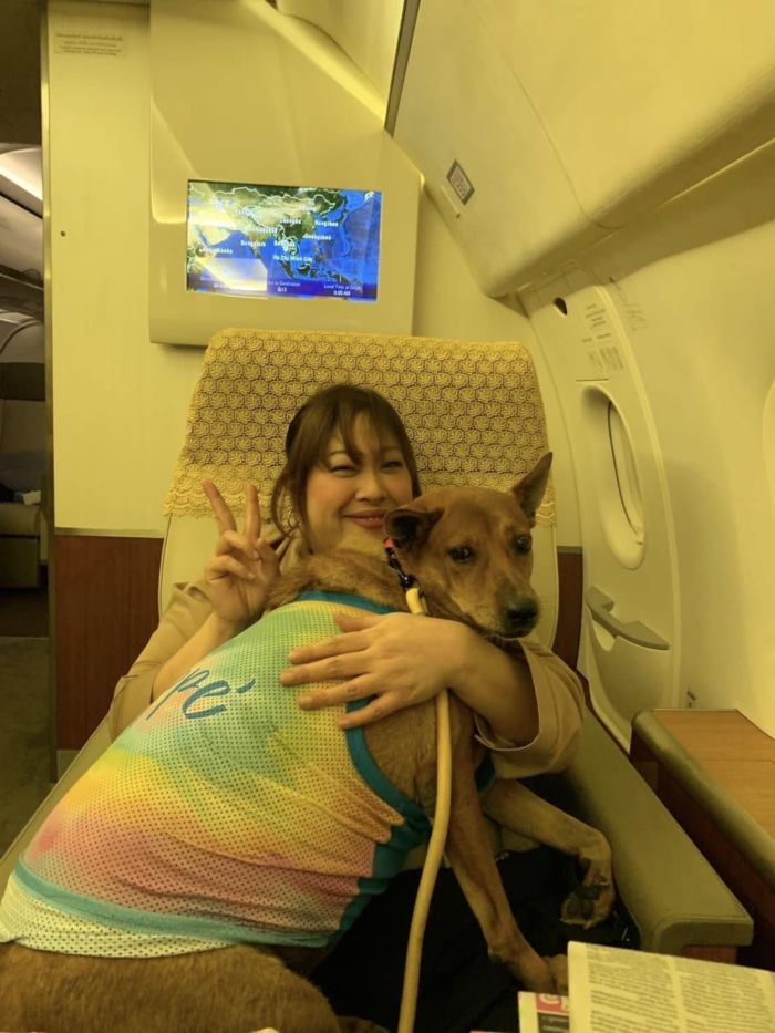 คุณหมูแดง หมาจรเซเว่น ล่าสุด องค์หริภาฯ พาขึ้นเครื่องเข้าวังเชียงใหม่ คุณหมูแดง หมาจรเซเว่น ล่าสุด องค์หริภาฯ พาขึ้นเครื่องเข้าวังเชียงใหม่