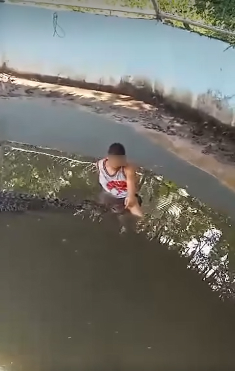 ชายโดดลงกรงจระเข้ นั่งชิลนึกว่าของปลอม ชายโดดลงกรงจระเข้ นั่งชิลนึกว่าของปลอม